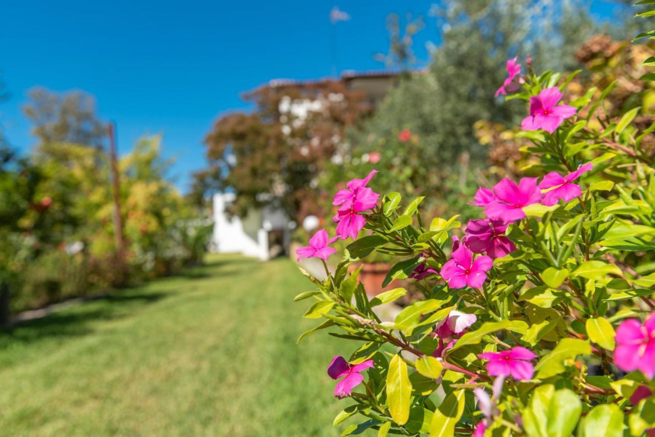 Apartament Blooming Memories Vourvourou Zewnętrze zdjęcie